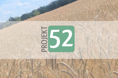 Projekt 52
