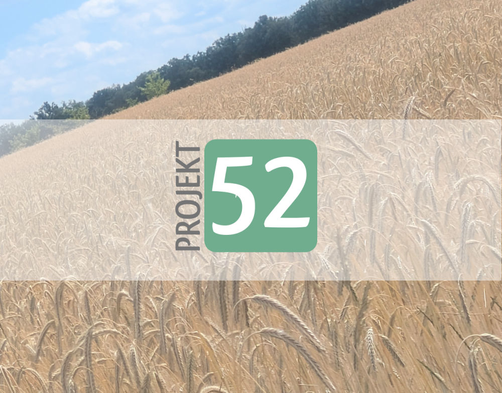 Projekt 52