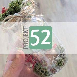 Projekt 52
