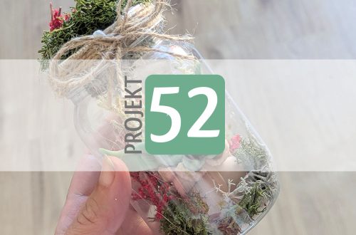 Projekt 52