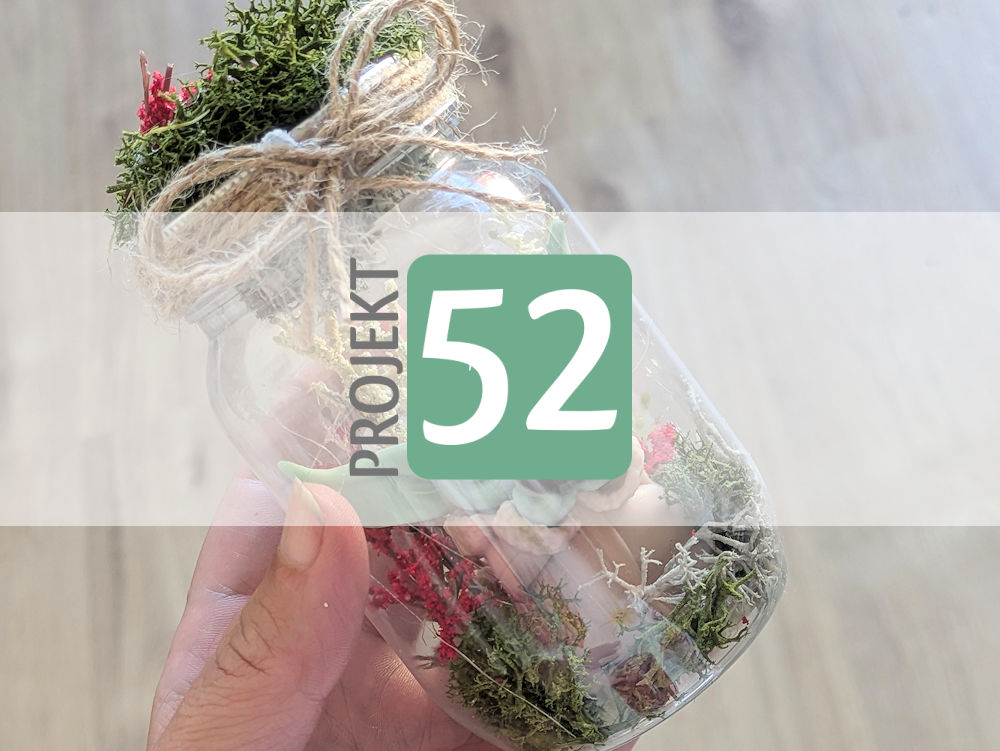 Projekt 52