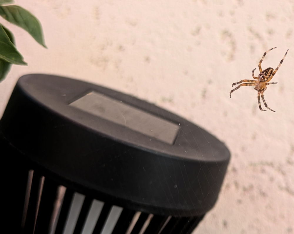 Besuch