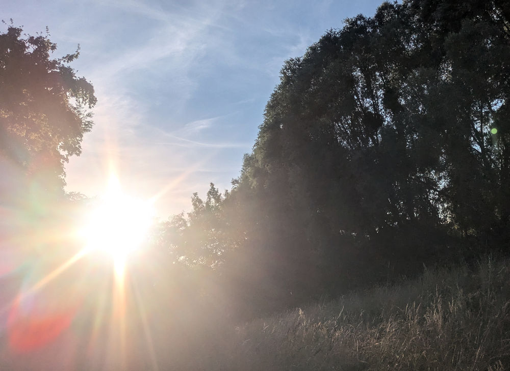 Sonnenfinsternis