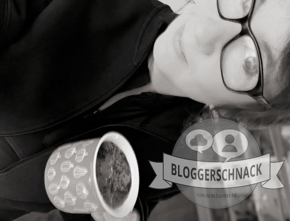 Bloggerschnack