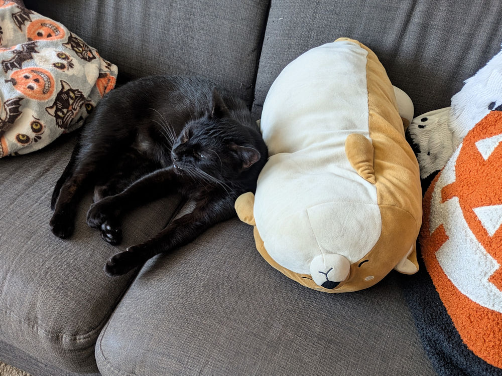 Wochenlieblinge