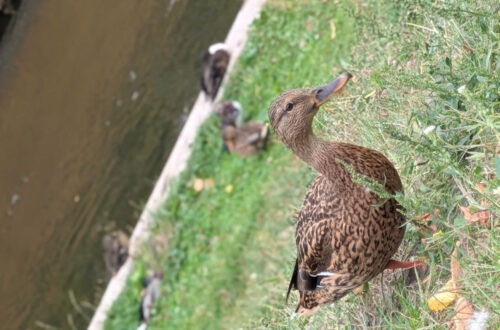Wochenlieblinge