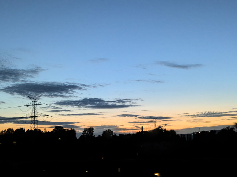 Wochenlieblinge