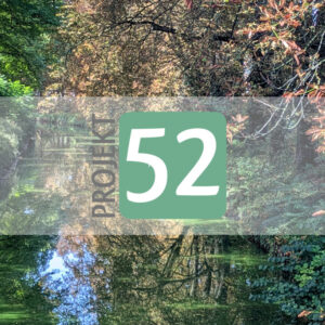 Projekt 52