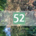 Projekt 52