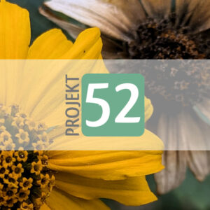 Projekt 52