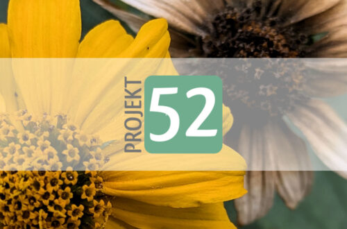 Projekt 52