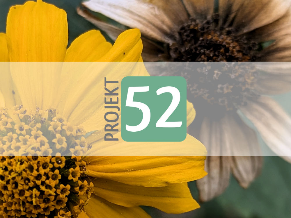 Projekt 52