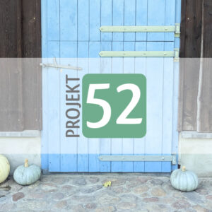 Projekt 52