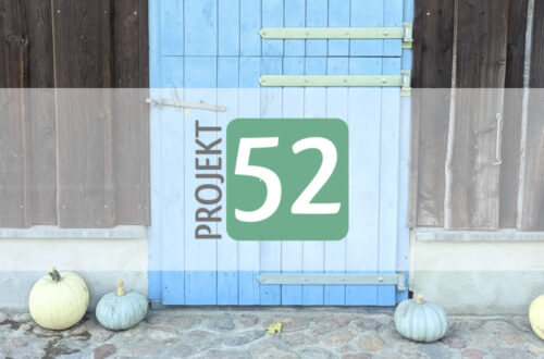 Projekt 52