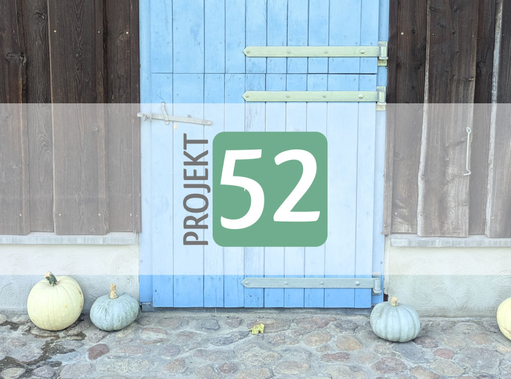 Projekt 52