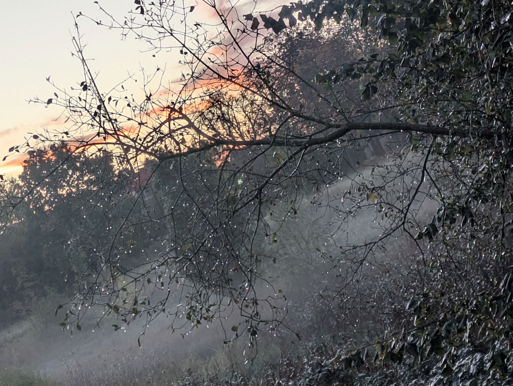 Nebel