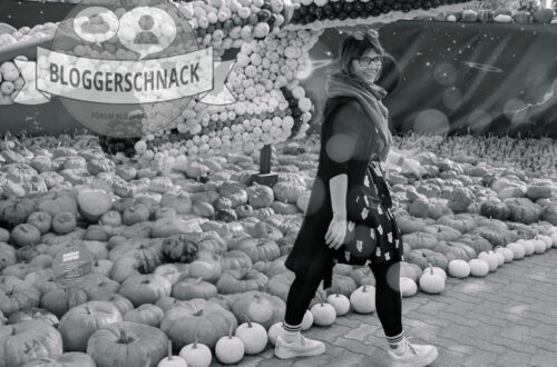 Bloggerschnack