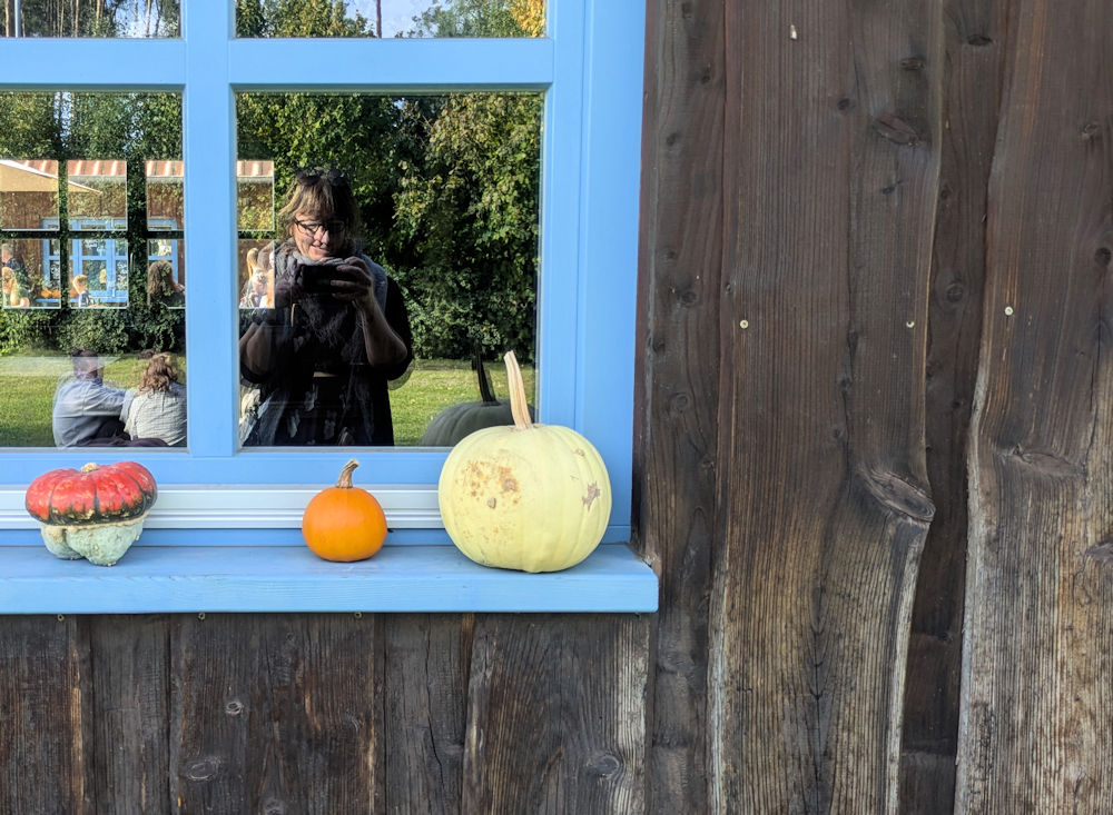Fenster