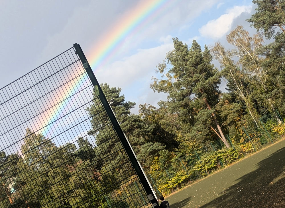 Fußball